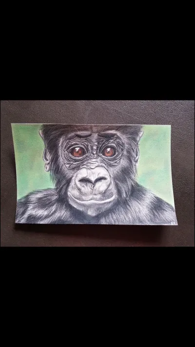 As-tu déjà essayé les dessins aux crayons de couleurs ou pastels ?