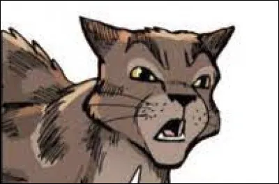 Combien de surs a Griffe de Pierre ?