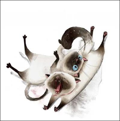 Dans « Harry Potter », comment sappelle le chat dHermione ?