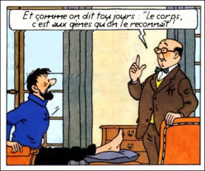 Là, si Haddock lit bien entre les mots du docteur, il devrait savoir quel remède ce dernier lui propose : oui, mais lequel ?