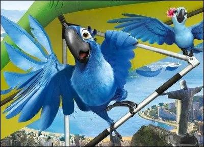 Où habitent tous ces oiseaux ?