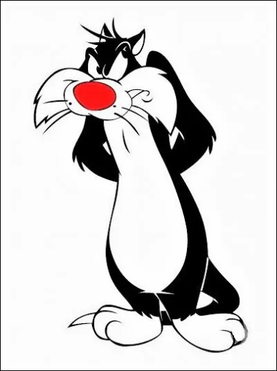 Quel est le vrai nom du chat "Gros minet" ?