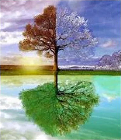 Quelle saison préfères-tu ?