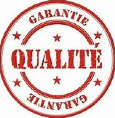 Quelle est ta plus grande qualité ?