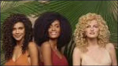 Quelle est ta couleur de cheveux ?