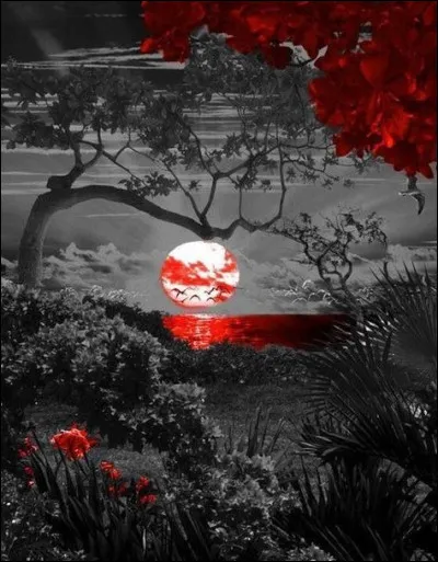 Saurez-vous trouver lintrus ?