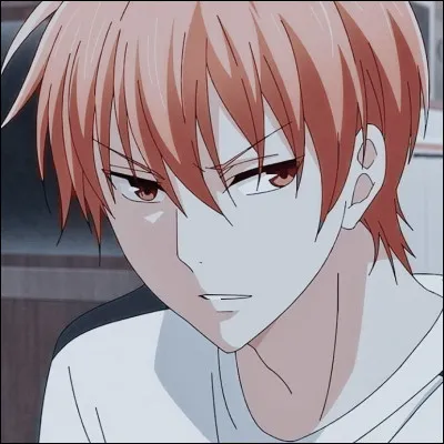 Quel est le nom de ce personnage de "Fruits Basket" ?