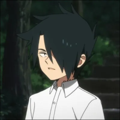 De quel manga Ray est-il l'un des personnages principaux ?