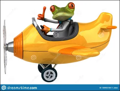 Combien de temps faut-il à 10 grenouilles pour attraper 10 mouches, sachant que 5 grenouilles attrapent 5 mouches en 5 minutes ?