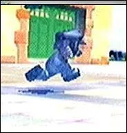 Quel mouvement spcial Antimario ne peut-il pas faire dans Super Mario Sunshine ?