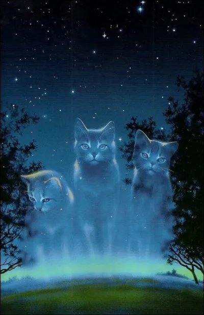 Que penses-tu du clan des &Eacute;toiles ?