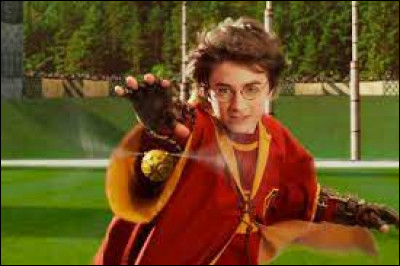 Quel est son sport préféré ?