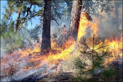 Quelqu'un qui déclenche un incendie volontairement est un :