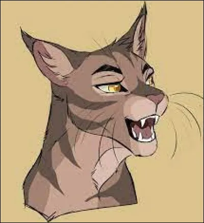 Qui a été son mentor ?