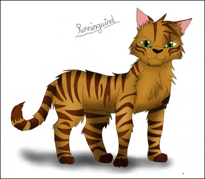 Quelle est sa particularité ?