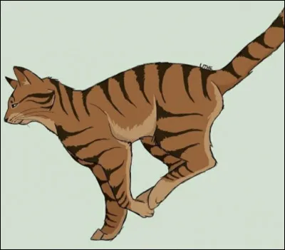 Pourquoi na-t-il jamais eu dapprenti ?