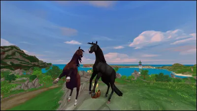 Quelles sont les principales qualités des chevaux ?