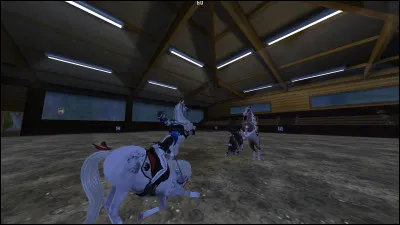 Comment appelle-t-on la figure ci-contre sur la photo ?