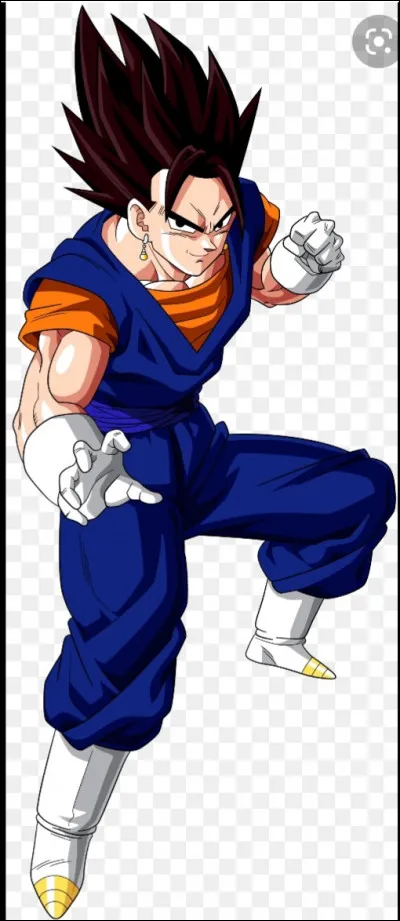 Comment se nomme la fusion de Son Goku et Vegeta par Potalas ?