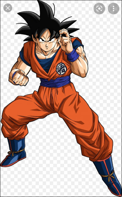Quel est le vrai nom de Son Goku ?