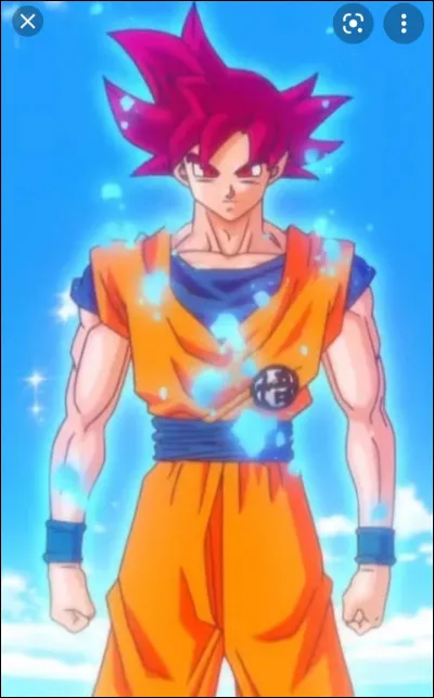 Grâce à quelle transformation Son Goku a-t-il empêché le seigneur Beerus de détruire la Terre ?