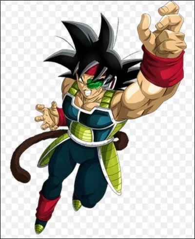 Comment se nomme le père de Raditz et Son Goku (Kakarot) ?