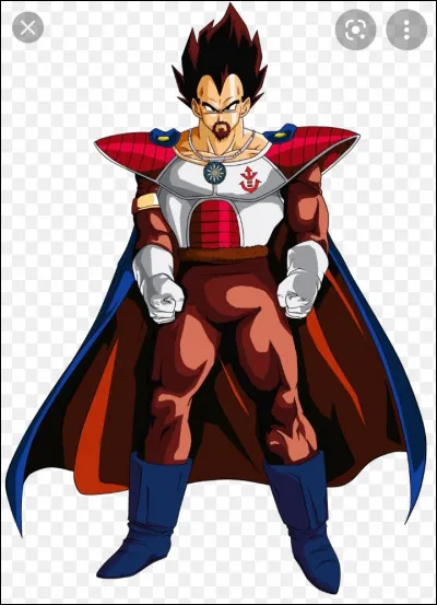 Comment se nomme le roi de la planète Vegeta ?