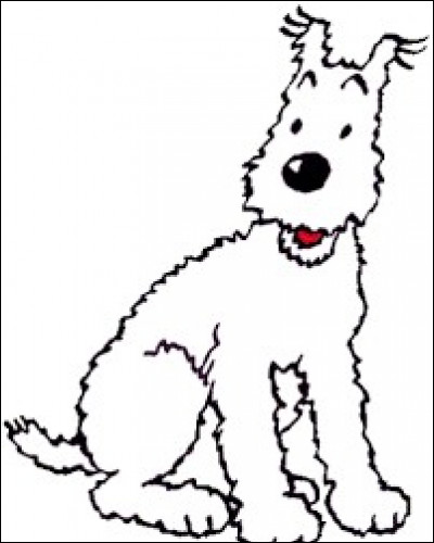 Sans doute est-ce le chien le plus célèbre de la BD inventé par Hergé. Peux-tu redonner son nom ?