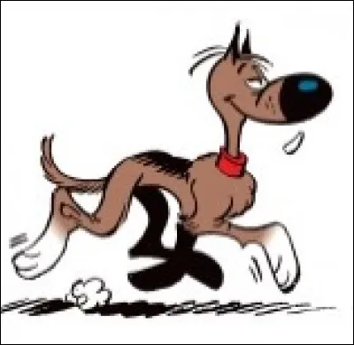Le chien dans Lucky Luke a quelques soucis de compréhension et est capable de grossières méprises. Quel est son patronyme ?