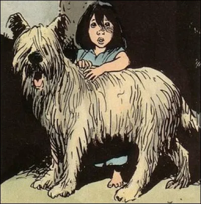 Quel est ce chien dans la BD Thorgal créée par de Rosiński et Van Hamme ?
