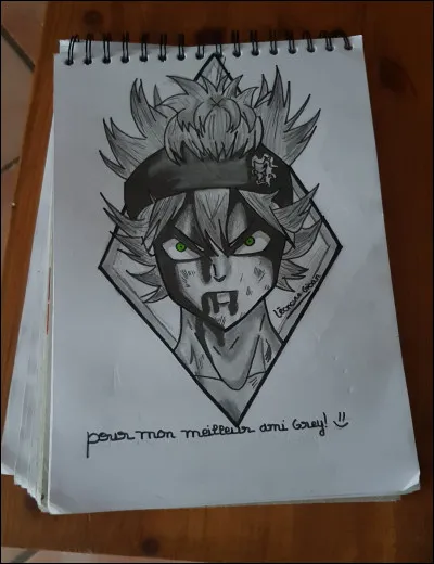 Et pour finir voici le dessin que je t'ai fait Grey...