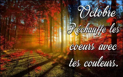 ''Le vent fera craquer les branches / La brume viendra dans sa robe blanche...''
Qui chante ''Octobre'', chanson de l'album ''Samedi soir sur la Terre'' sorti en 1994 ?