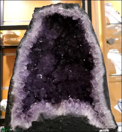 Que voyez-vous sur cette photo ?