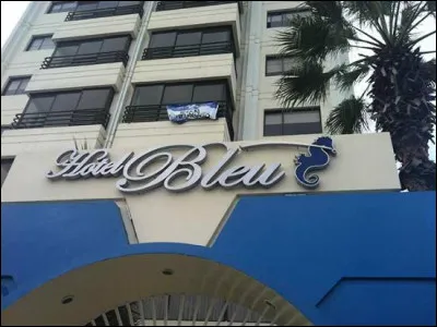 Qui chante "Blue Hotel" ?