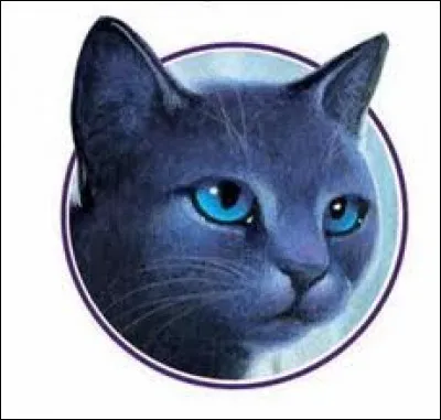 De quel clan était le compagnon d'Étoile Bleue ?