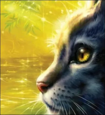 Qui ont été les compagnes de Plume Grise ?