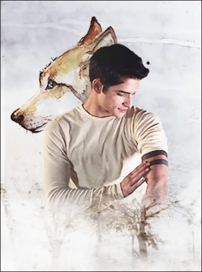 Qui a été en couple avec Scott McCall ?