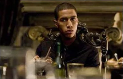 Dans quelle maison est Blaise Zabini ?