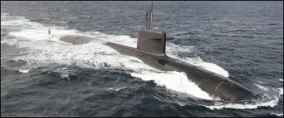 Lui, cest lanimal marin le plus rapide et il va à la même vitesse que le terrestre.