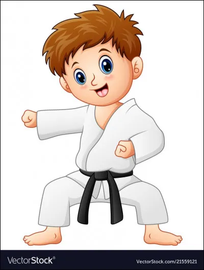 Quel nom donne-t-on à un professeur de karaté ?