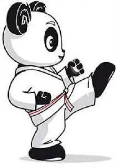 Quelle est la liste des ceintures dans l'ordre ?