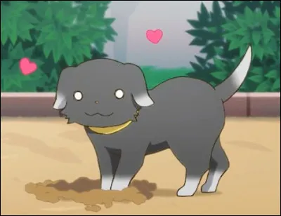 Comment s'appelle le chien de Sora ?