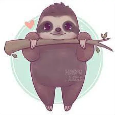 Quel est cet animal kawaii ?