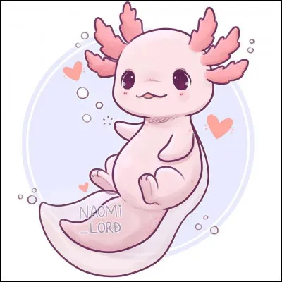 Quel est cet étrange animal kawaii ?