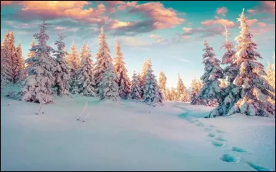 Quelle couleur trouves-tu dominante sur cette image ?