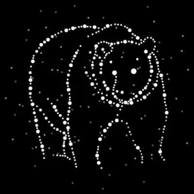 La Grande Ourse, compte 17 étoiles (Le saviez-vous ?), mais depuis la Terre, on ne voit que les plus brillantes qui forment "le Grand Chariot), combien sont-elles ?