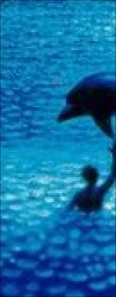 Quel est le titre de ce film dont vous ne voyez qu'un petit bout de l'affiche ?