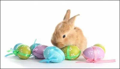 Comment dit-on ''Avril'' en anglais ?