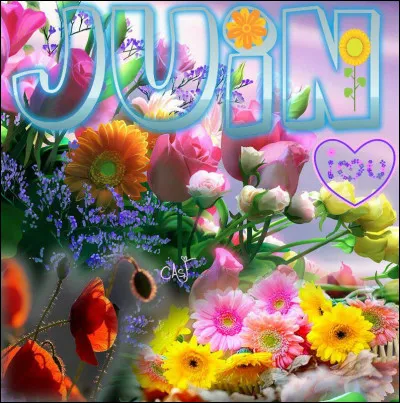 Comment dit-on ''Juin'' en anglais ?