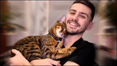 Coche les 3 bonnes affirmations !